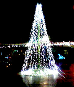 It’s That Time of the Year … again It’s That Time of the Year … again